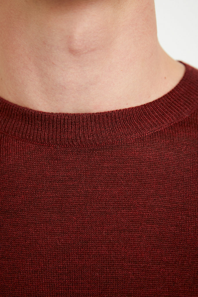 Men's knitted jumper A20-21101