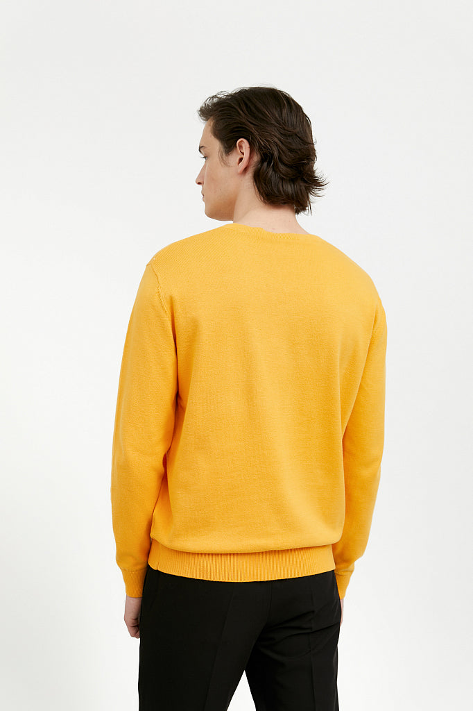 Men's knitted jumper A20-21103