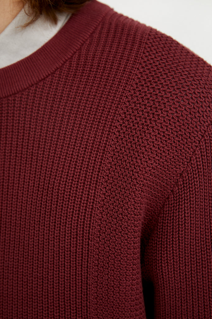 Men's knitted jumper A20-21107