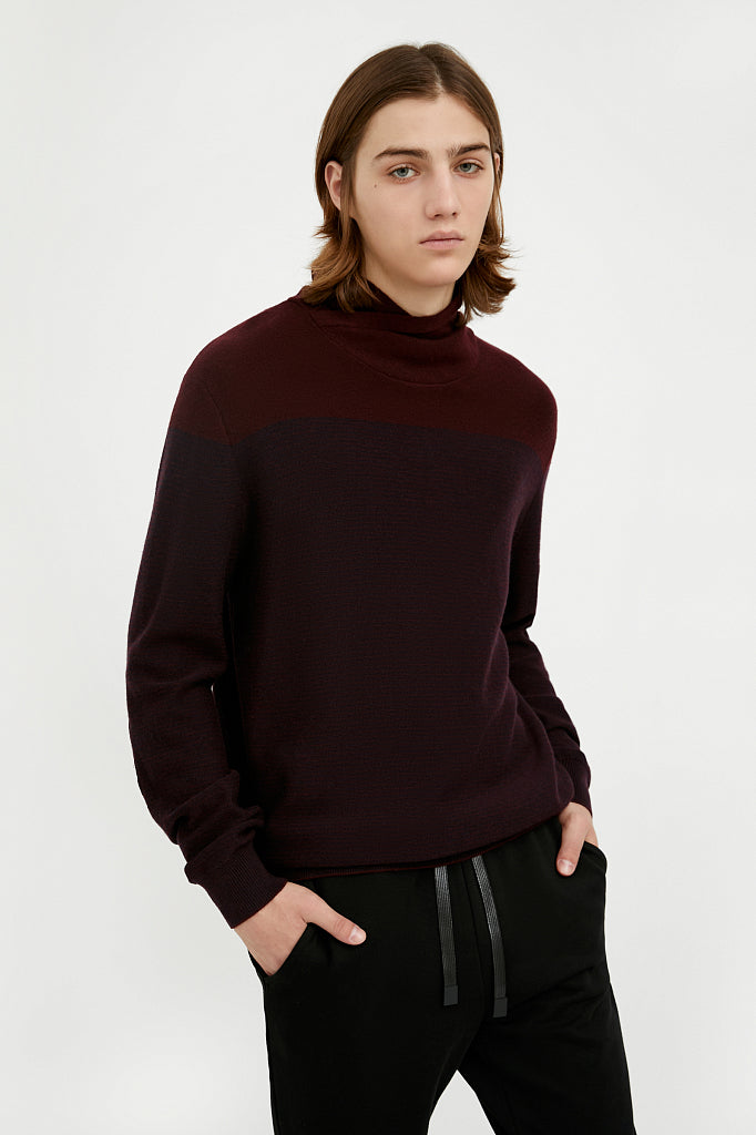Men's knitted jumper A20-42104